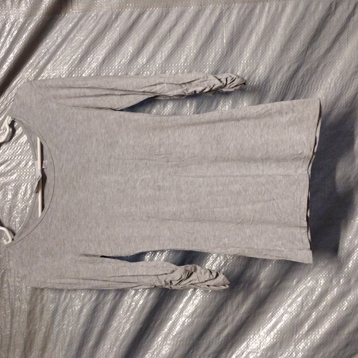 Gray Jody